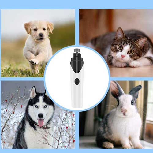 Profesionalni strižnik krempljev